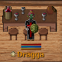 dragga1.png